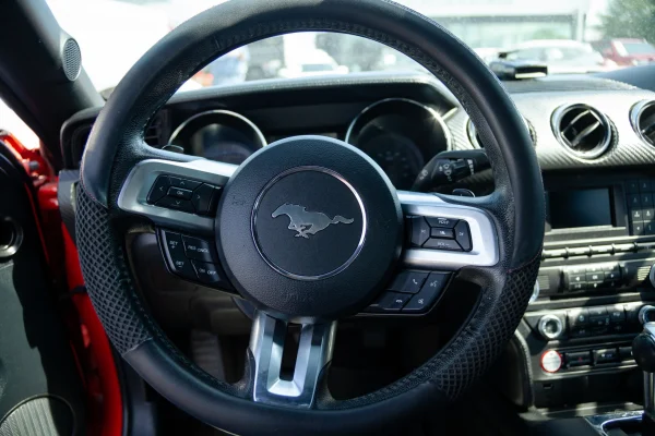 Mustang 2016 - Image 8