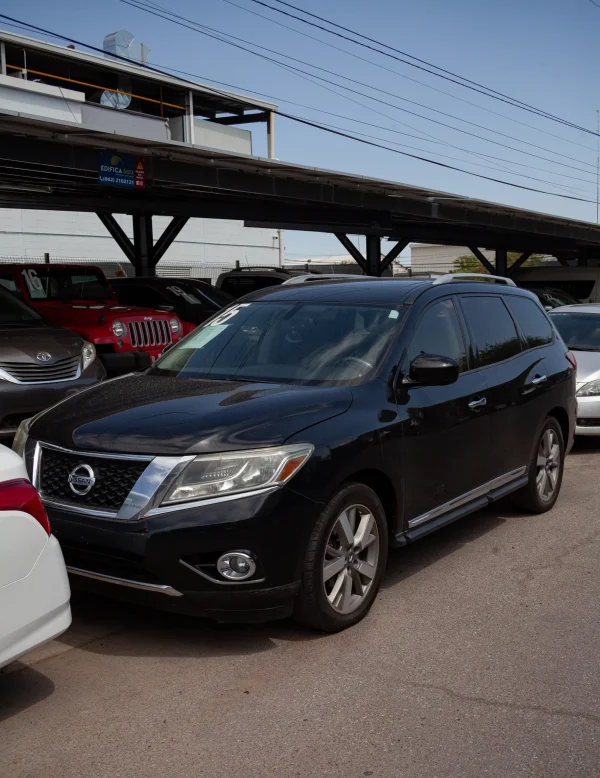 Pathfinder Exclusive 2015